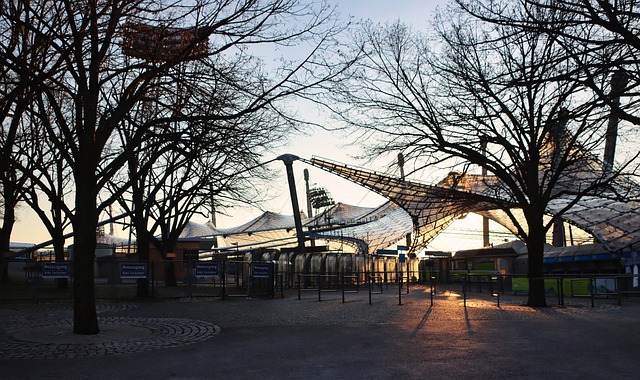 开花的局面 开花的局面