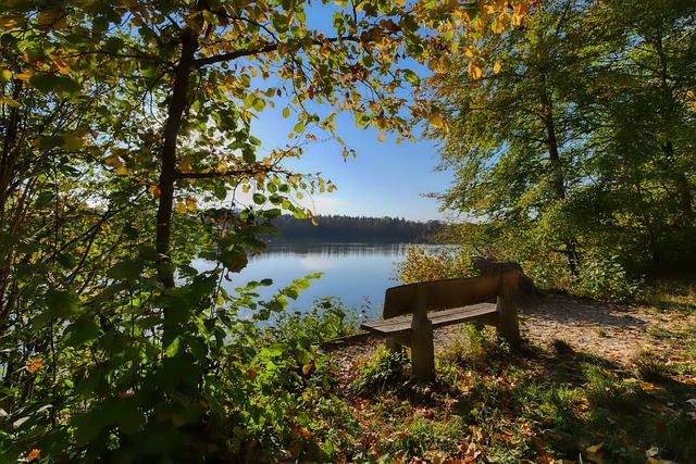 用巧妙應對 用巧妙應對