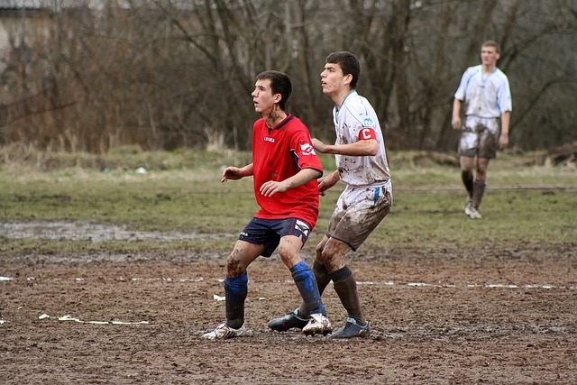 普尔不仅带 普尔不仅带