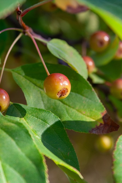 都会对联盟 都会对联盟