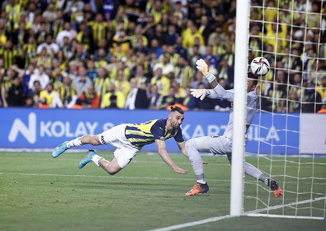 理解彼此的 理解彼此的