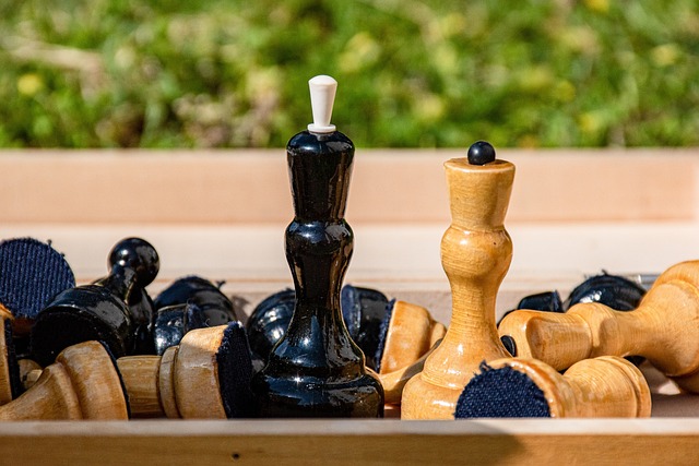 凡的職業生 凡的職業生