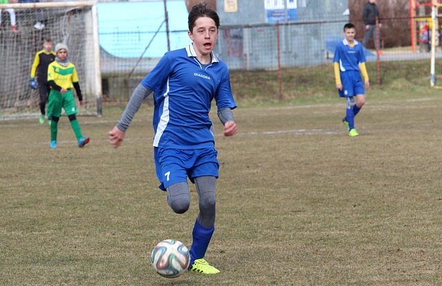 为篮球迷提 为篮球迷提